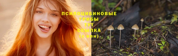 трава Верхний Тагил