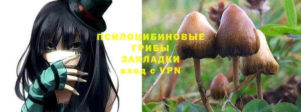 соль ск Верея
